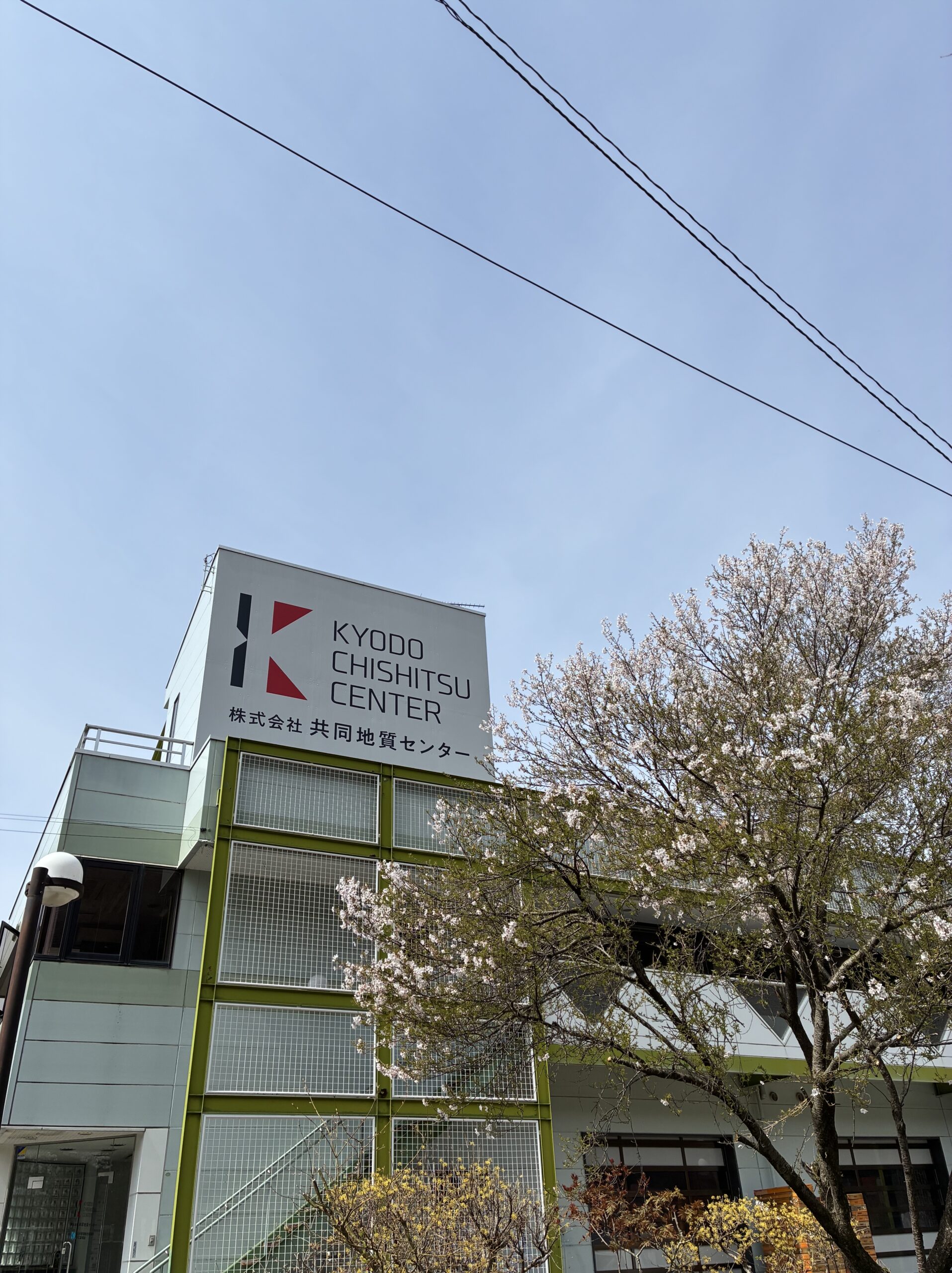 桜が咲く敷地から見上げた「株式会社共同地質センター」の社屋。屋上に社名とロゴが掲示されている