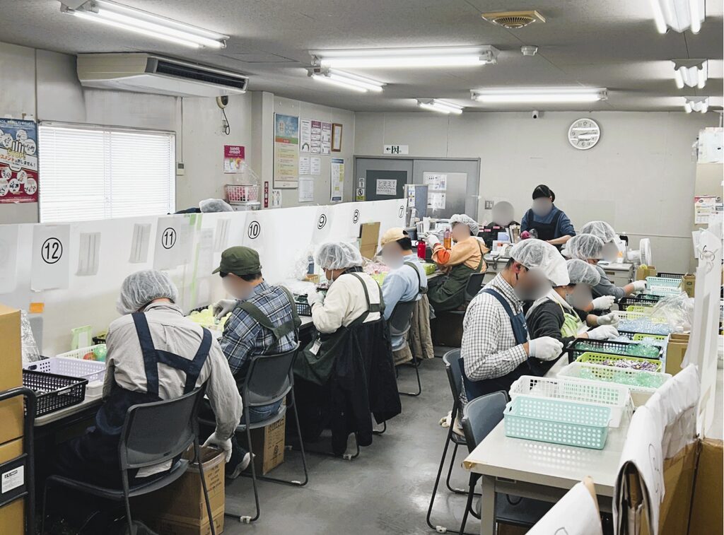 作業室内で、ヘアキャップやエプロンを着用した複数の人が、番号札の付いた作業台に座って手元のカプセルを仕分け・作業している様子。