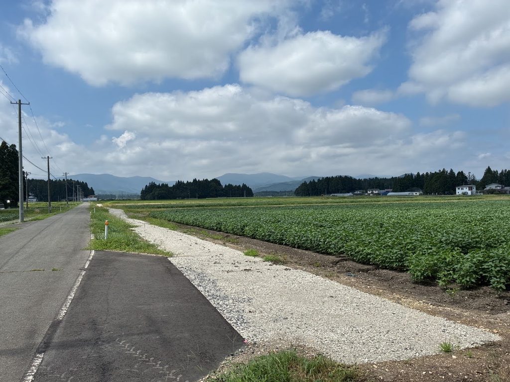 青空と雲の下、舗装された道路の脇に砂利敷きの部分があり、その右側に緑の作物が広がる畑。遠くに山並みと木立、住宅が見える。